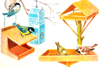 Экологическая акция «Птицам будем помогать нашу зиму зимовать!»