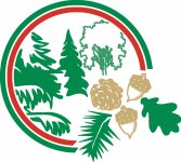 Областной конкурс Юных лесоводов-2022